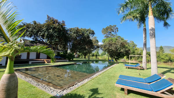 Longue piscine de nage entourée d'herbe, de palmiers et de nature avec des transats en bois avec des cousins bleus verts autour