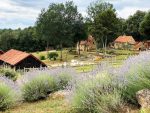 Au premier plan des lavandes en fleurs, au 2eme plan 3 maisons en pierre avec un toit en tuile rouge