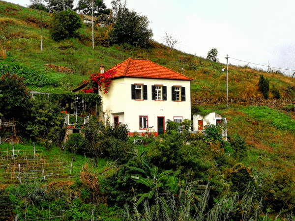 La maison ziazen mur blancs, toit en tuile et fenêtres entourées de vert, sur le flanc de la montagne entourée de végétation luxuriante