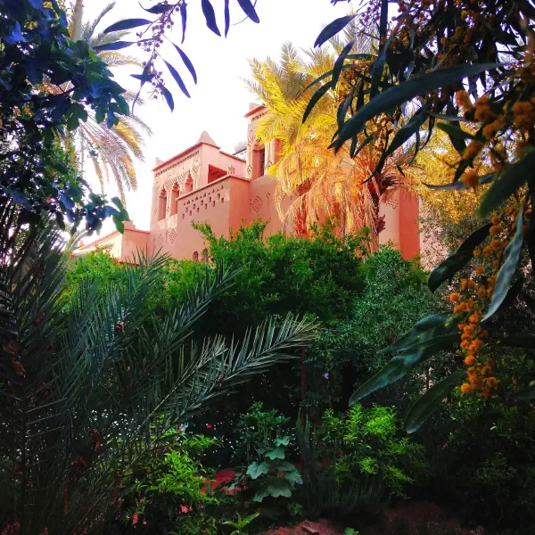 hotel agdz maroc - jardin luxuriant avec de nombreux palmier et en arrière plan on aperçoit les tours ocres de la kasbah