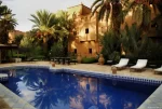 At sunset with a play of light and shadow of the palm trees surrounding the pool on the ochre walls