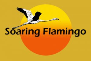 Logo Soaring Flamingo il s'agit d'un flamant rose dessiné en blanc passant devant un soleil eclatant