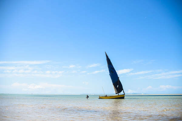 hotel vilanculos - dhow, bateau traditionnel du mozambique vec la voile hissée