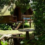 Photo prise à l'ombre d'un arbre à côté d'une table de pique nique en pierre et derrière on voit une des cabanas en bois avec quelques marches pour y acceder