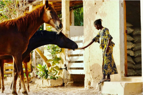 Femme en tenue typique sénégalaise donnant à manger à 2 chevaux