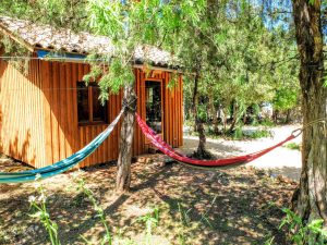 2 colored hammocks hung on a tree in front of the wooden hut