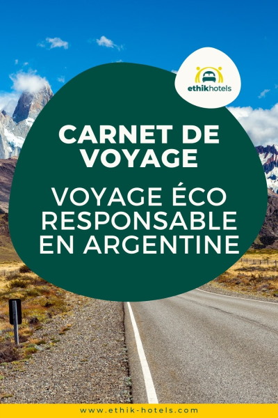 Route et vue sur les montagnes en Argentine