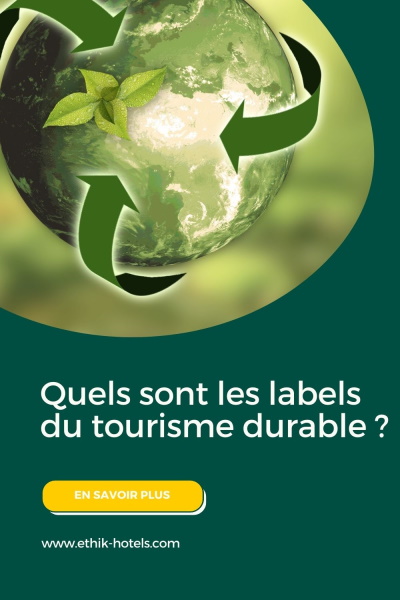 planète verte entourée de flèches, logo du recyclage