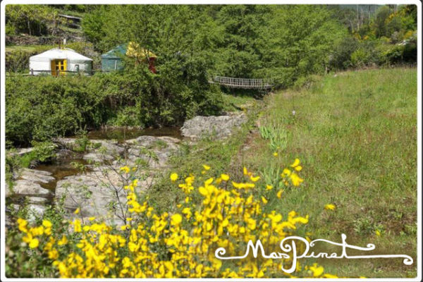 Occitanie - Mas Pinet. Photo prise au bord de la rivière, au premier plan des jeunets en fleur et au fond on aperçoit les yourtes