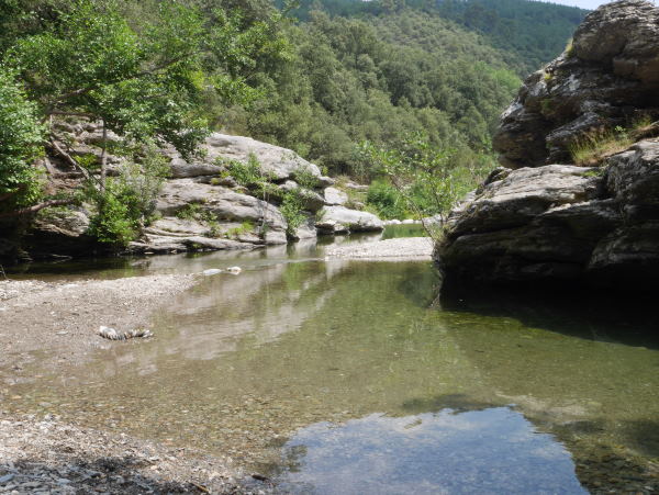 Photo d'une rivière dans une gorge en Cevenne. L'eau est très claire et de nombreux rochers délimites le cours d'eau.