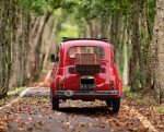 Fiat 500 rouge avec un panier en osier derrière sur une route bordée d'arbres