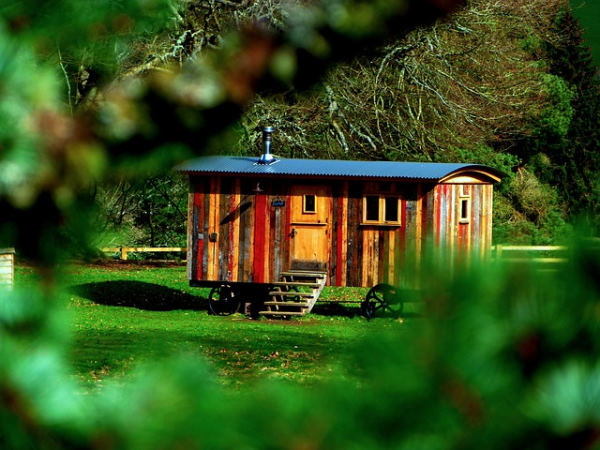 Romantic stay: view from a tree of a wooden caravan painted in several colours 
