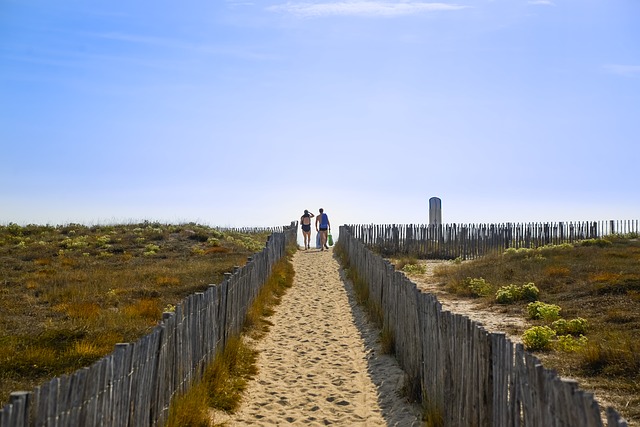 vacances écologiques mer - des dunes avec un chemin balisé par des barrières en bois avec au bout des gens en maillot de bain allant à la plage