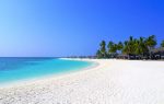 Plage paradisiaque de l'ile veligandu : sable fin,mer turquoise, cocotiers