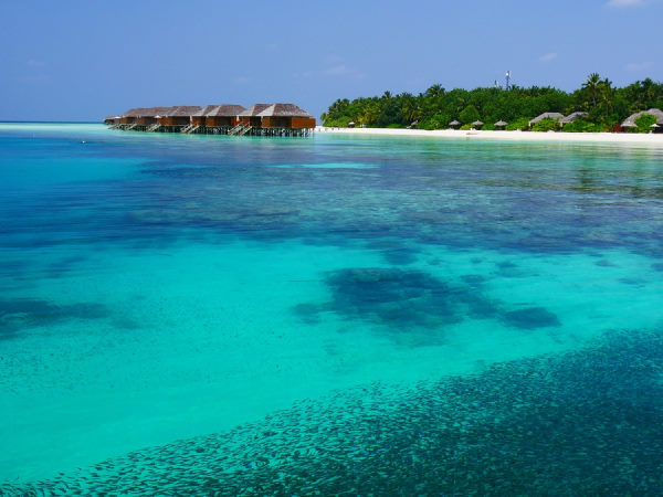 Vacances aux maldives - lagon turquoise avec des bungalows sur pilotis et derrière la plage de l'île