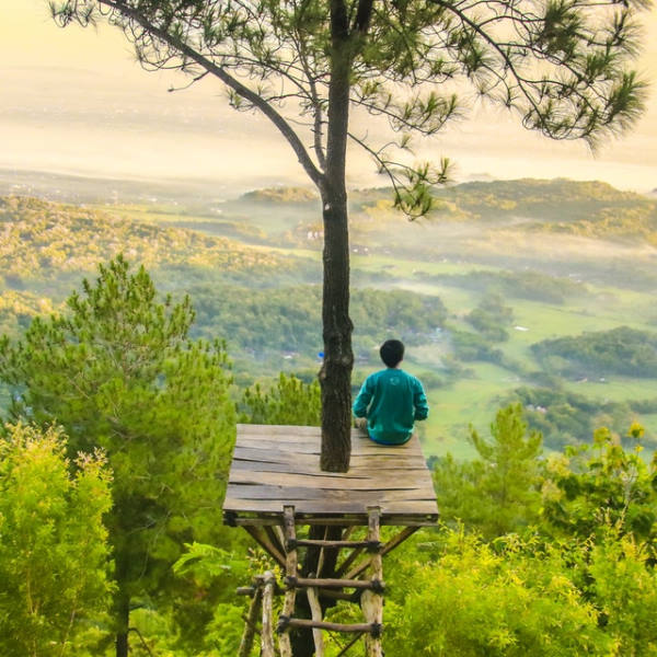 man wearing green sweatshorts sitting on a treetop platform with his back to the landscape