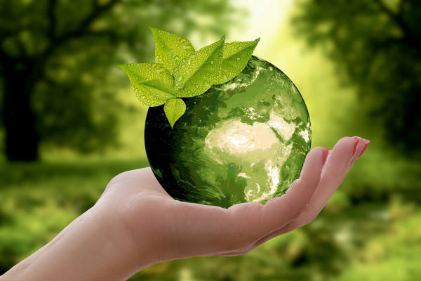 Ecolabel Européen : une main sur laquelle repose un globe en verre représentant la terre avec des feuilles qui pousse dessus