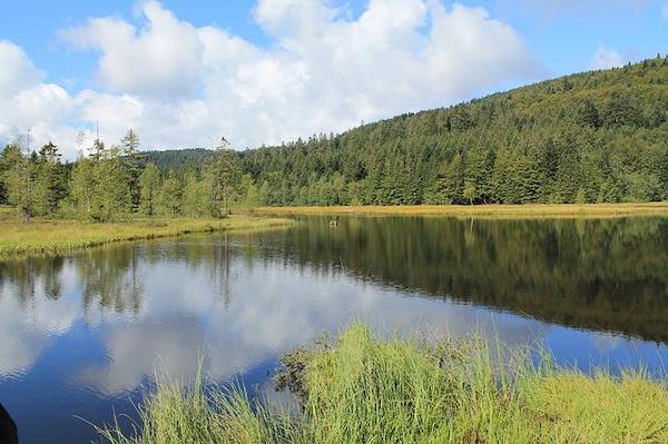 Vacances dépaysantes en France - Lac aux corbeaux bordé d'une forêt de sapins dans les Vosges